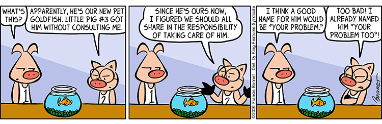 05/01/2026