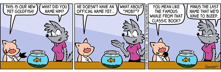 05/06/2026