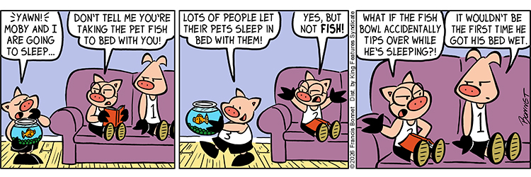 05/08/2026