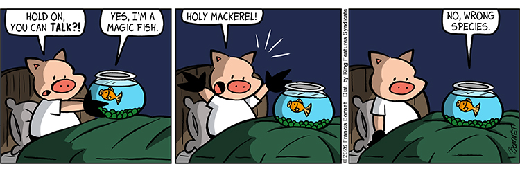 05/14/2026