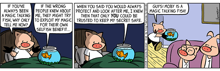 05/15/2026