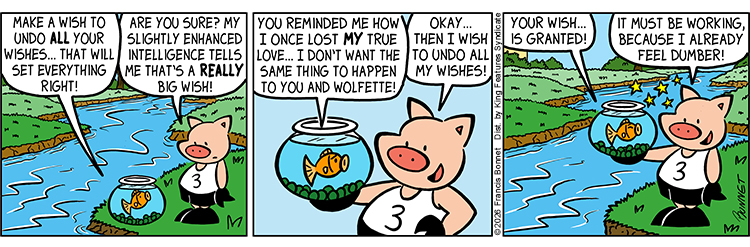 07/03/2026