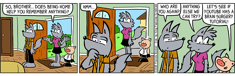 08/05/2026